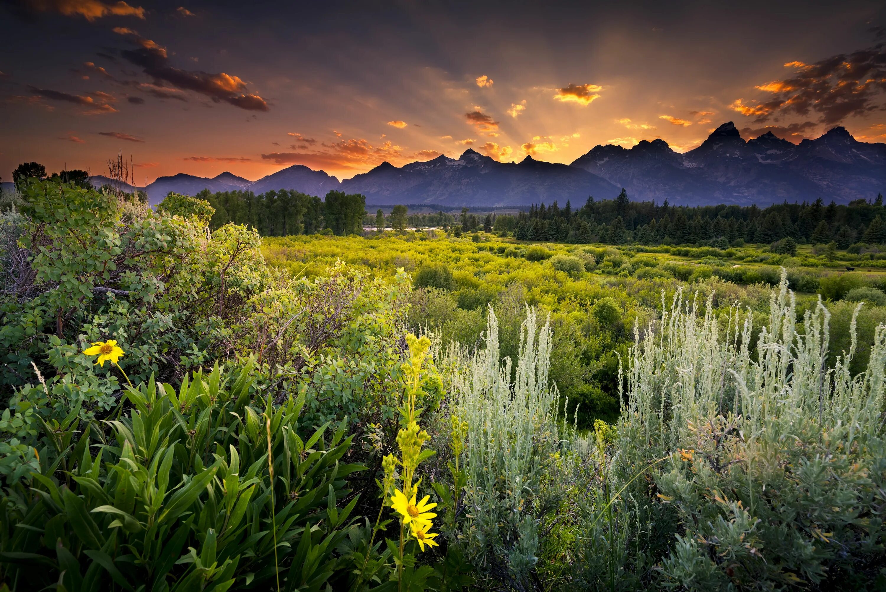 Природа 2 фото Pin on Wyoming