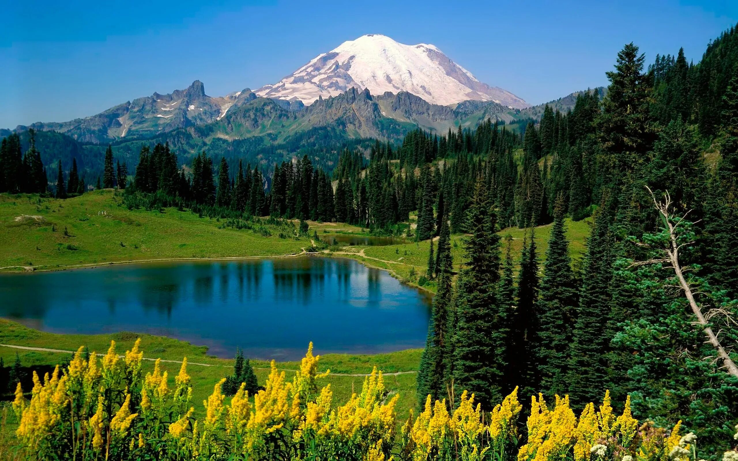 Природа 2 фото Wallpaper : trees, landscape, mountains, lake, nature, reflection, national park