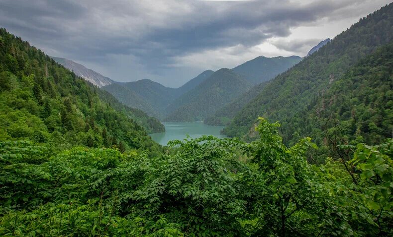 Природа абхазии фото самые красивые Шоппинг в Абхазии 2024 - отзывы, аутлеты, распродажи на Туристер.ру