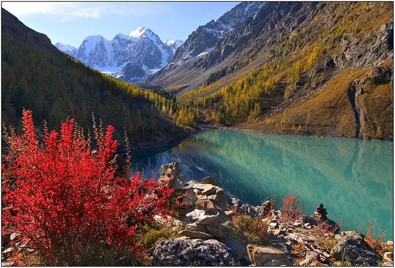 Природа алтая фото самые красивые места Российский Сервис Онлайн-Дневников Natural landmarks, Nature reserve, Nature