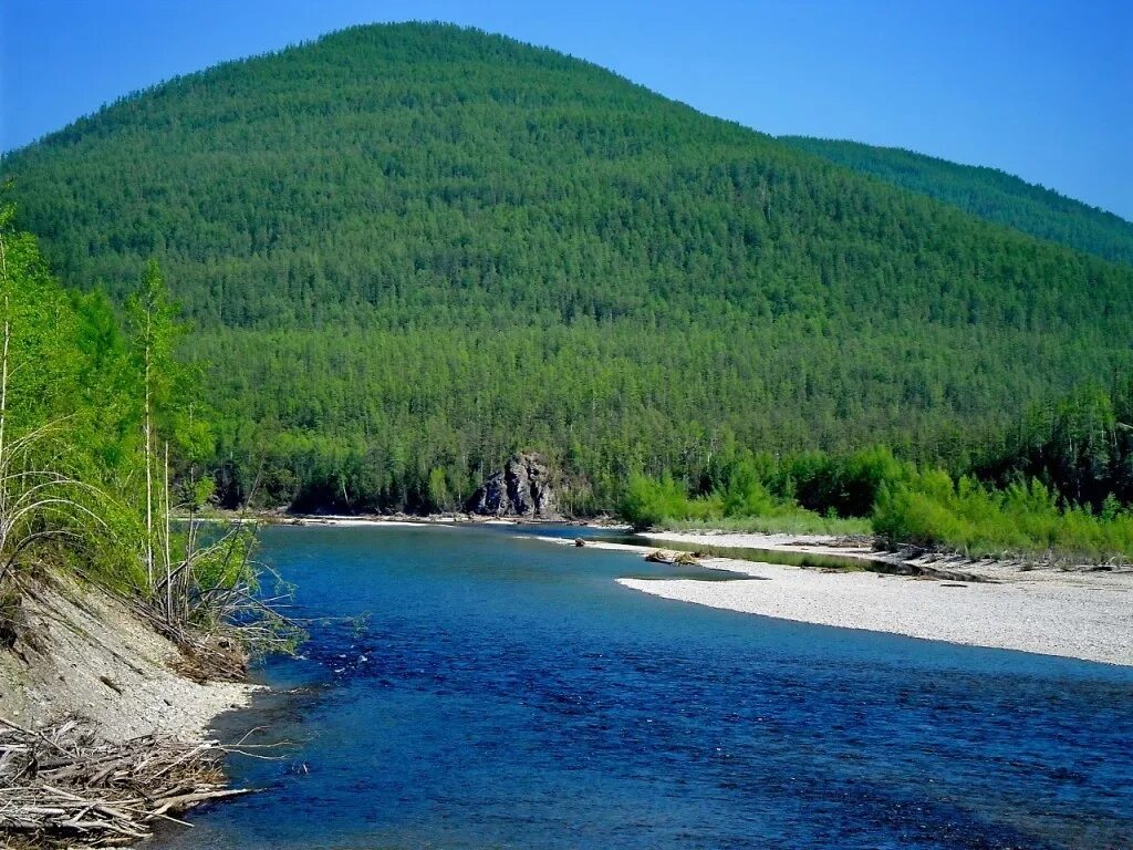 Природа амурской области фото Амурский край время