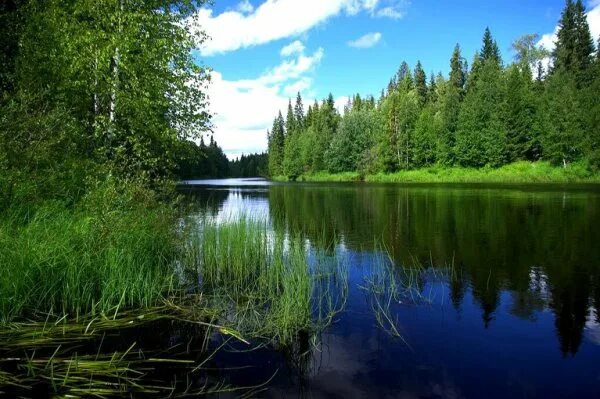 Природа архангельской области фото Серпухов, Московская область. Интересный контент в группе Красивая планета