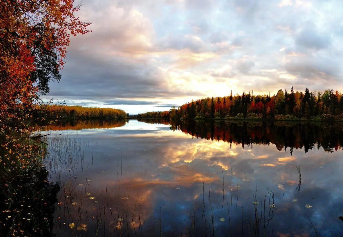 Природа архангельской области фото 14) Twitter Silent night-Onjega,Russia Beauty places, Natural landmarks, Silent 