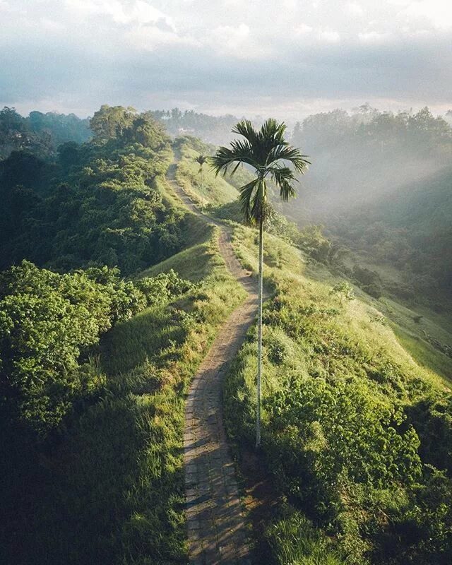 Природа бали фото A morning hike in Indonesia is good for the soul. (: @sutarahady) . . . #islands