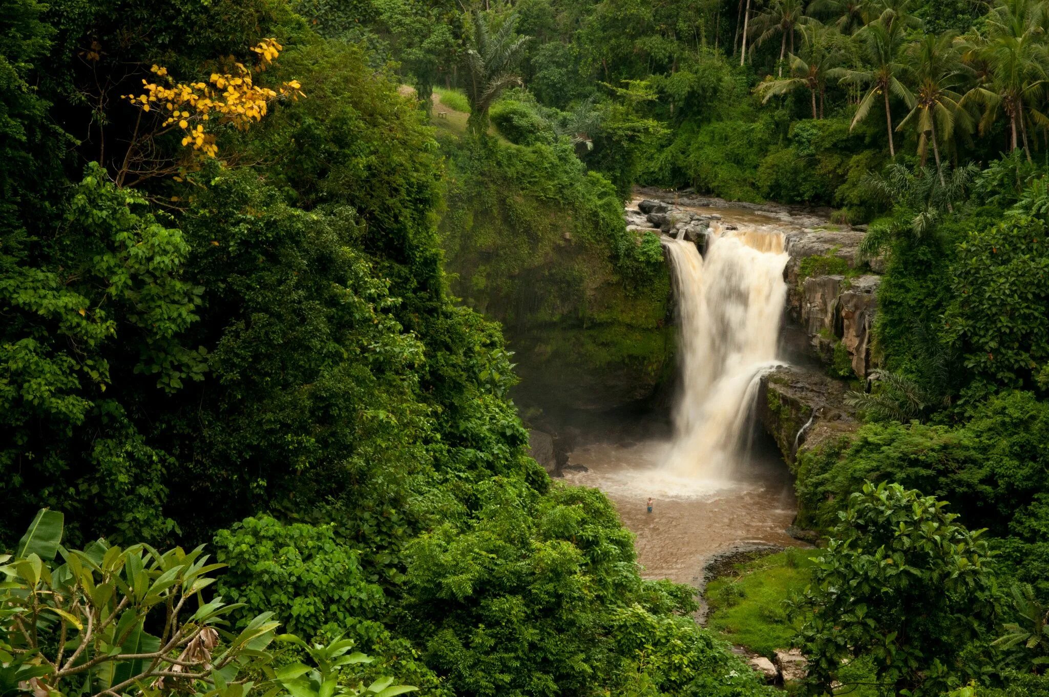 Природа бали фото tegenungan waterfall, bali, indonesia Ubud, Waterfall, Bali