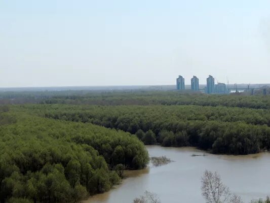 Природа барнаула фото Где отдохнуть на природе в Барнауле Где в Барнауле?