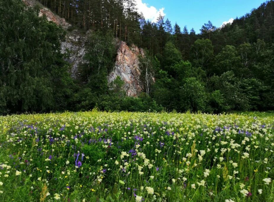 Природа башкирии фото Развлечения Мелеуз (респ. Башкортостан) - онлайн бронирование отелей