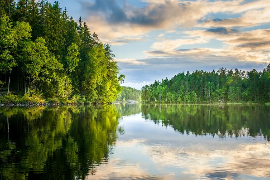 Природа беларуси фото Repovesi National Park, Finland Kuutti Heikkilä Flickr