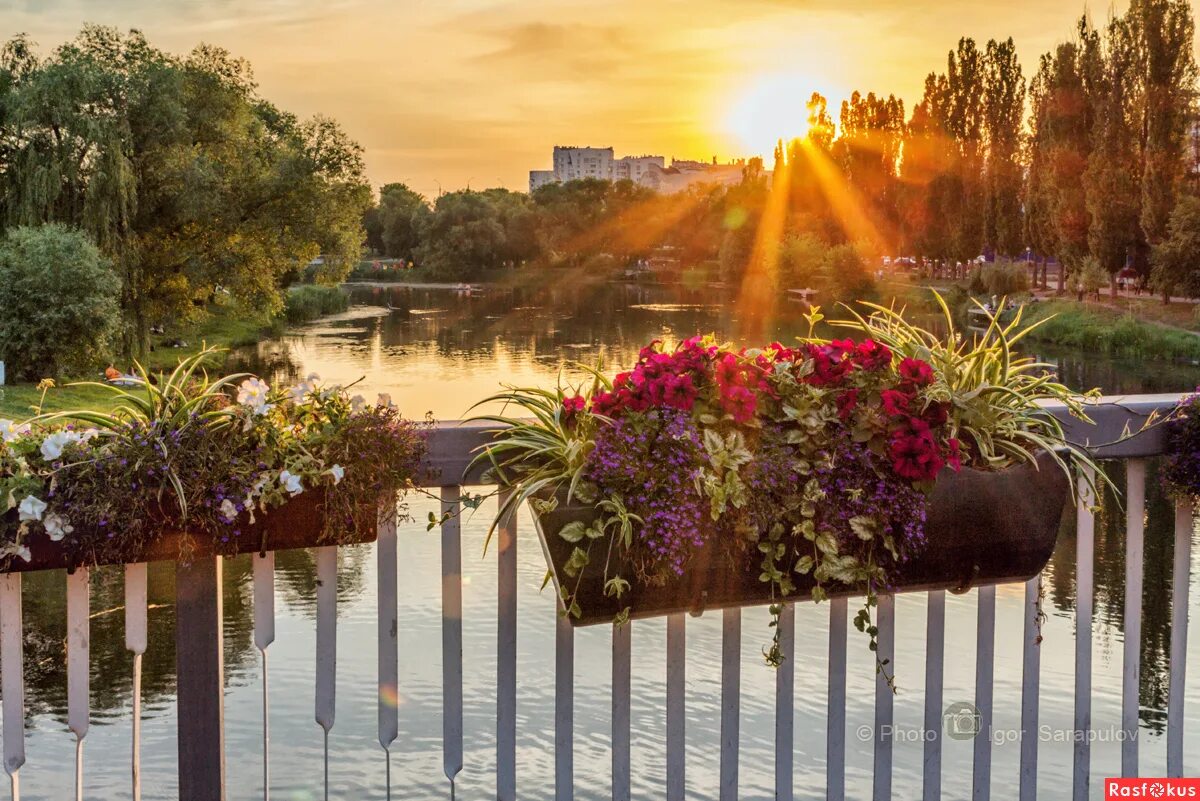 Природа белгорода фото Фото: Белгородское лето. Фотограф Игорь Сарапулов. Город - Фотосайт Расфокус.ру