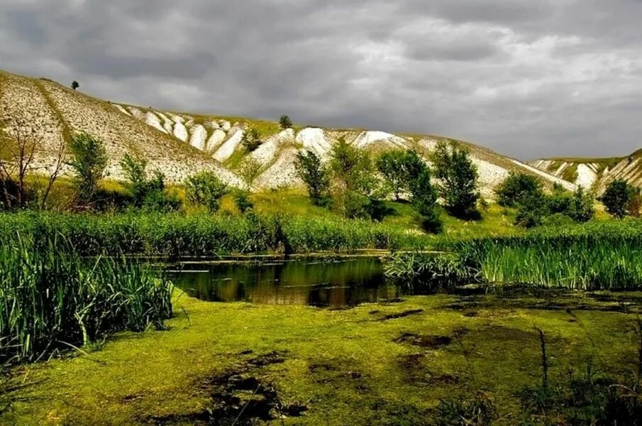 Природа белгородской области фото Краеведческая викторина "Знатоки родного края" 2022, Прохоровский район - дата и