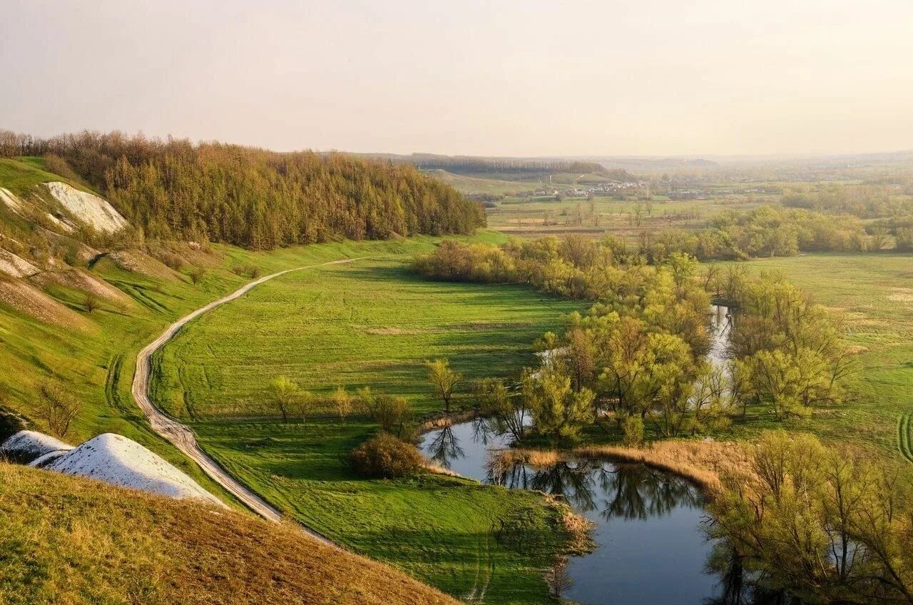 Природа белгородской области фото Край родной" 2021, Куркинский район - дата и место проведения, программа меропри