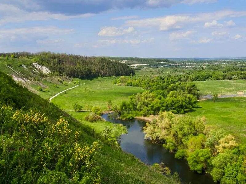 Природа белгородской области фото Самые красивые места белгородской области - Фото