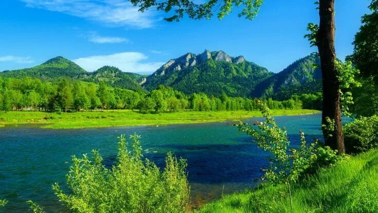 Природа бесплатные фото River Dunajec Poland-summer-landscape-Mountains with forest-green grass, blue sk