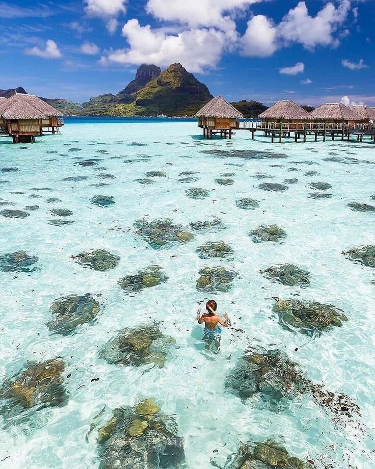 Природа бора бора фото Travelest on Instagram: "Guess the exact location in Bora Bora to be added to th