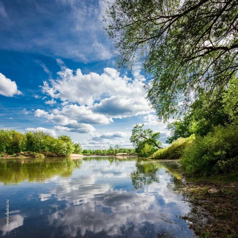 Природа брянска фото Река десна брянская область - Фото