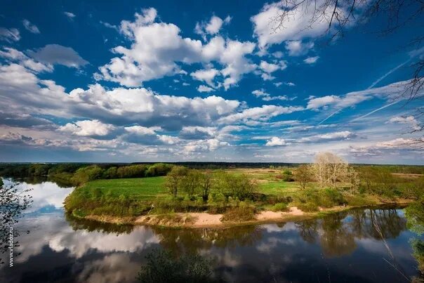 Природа брянска фото #АГС_Наш_удивительный_Русский_мир The river Iput, Bryansk region. And the way, w