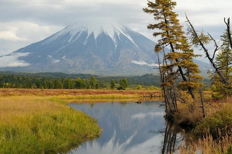 Природа дальнего востока фото Fotografie: Natura neatinsa din Kamceatka, Rusia Rusia rezervatie naturala poze 