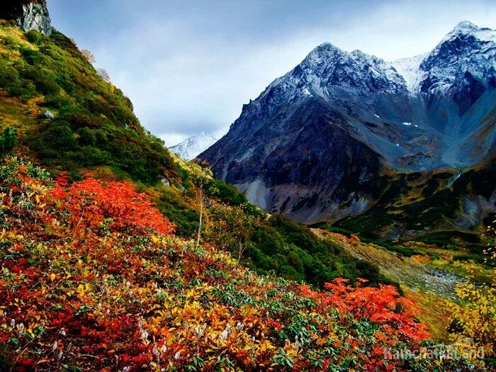 Природа дальнего востока фото Вачкажец на Камчатке Пейзажи, Озера, Фотограф