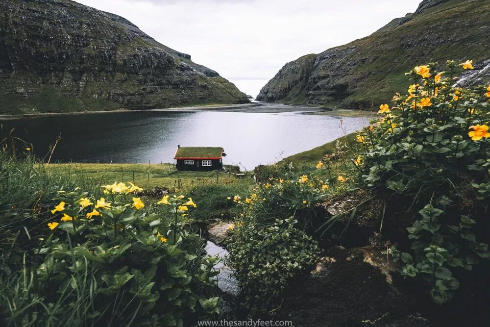 Природа дании фото 10 Things to Know Before Visiting the Faroe Islands - The Sandy Feet Lugares her