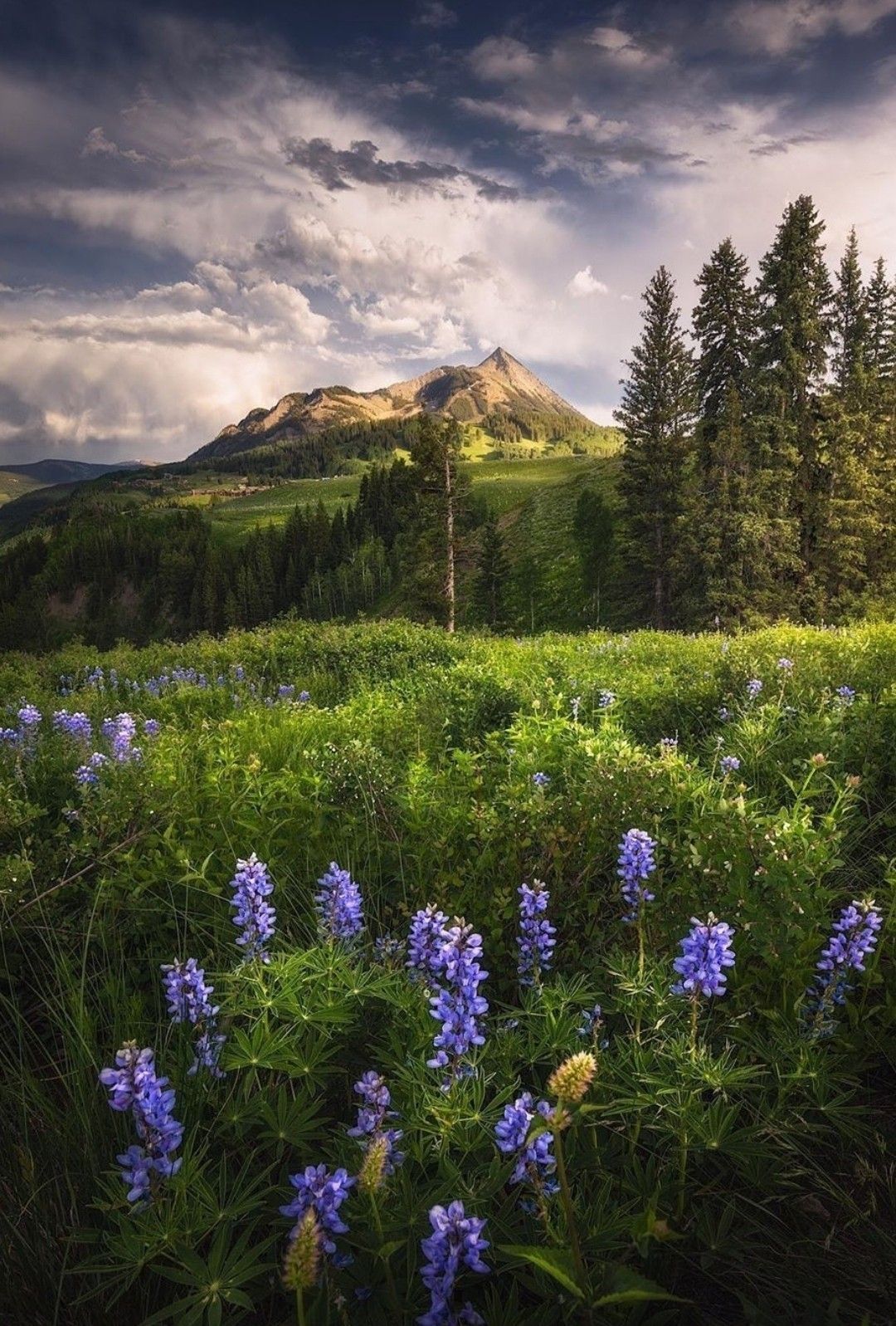 Природа днем фото Crested Butte, Colorado Nature photography, Nature photos, Nature