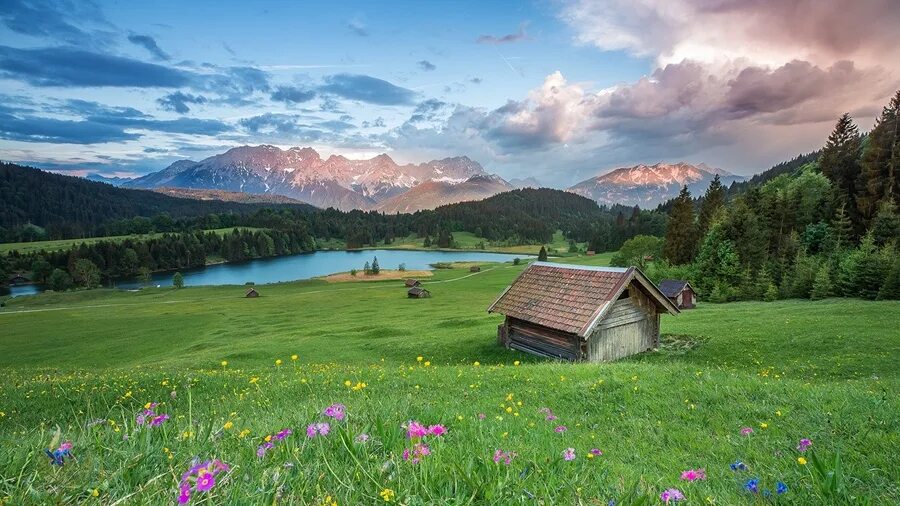 Природа домашние фото Пазл "Пейзаж. Луга, горы, трава, Альпы" из 1008 элементов Собрать онлайн пазл № 