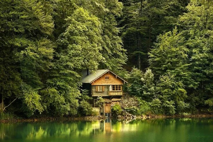 Природа домашние фото Дом у озера Lake house, Lake cottage, Cabin life