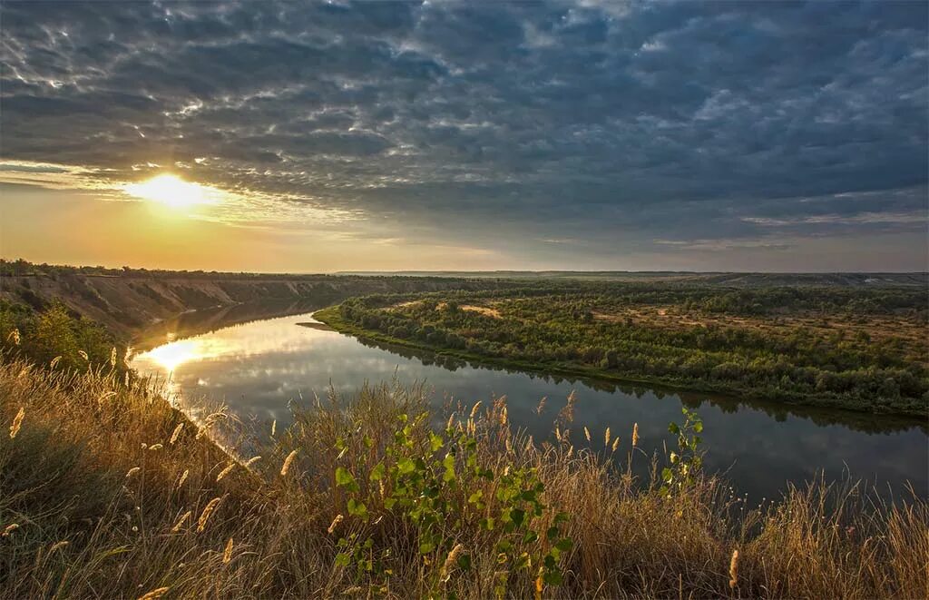 Природа дона фото Куда поехать в Ростовской области: ТОП-10 лучших мест для отдыха этим летом - Го