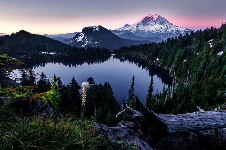 Природа фото 4 к Gorgeous sunrise at Mt. Rainier this weekend Nature images, Nature, Sunrise