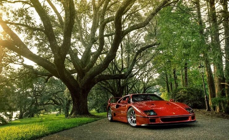 Природа фото авто Ferrari F40. Его прощальный поклон - DRIVE2