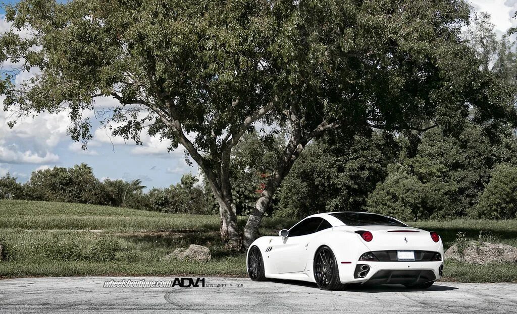 Природа фото авто Ferrari F430 in ADV5.0 Track Spec