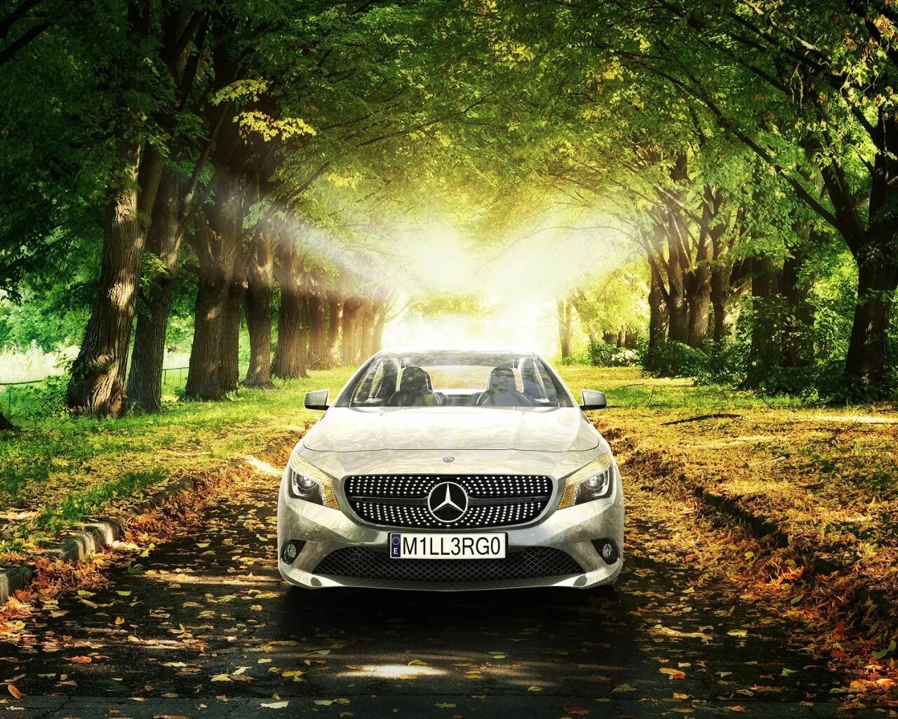 Природа фото авто Download wallpaper Mercedes-Benz, The sun, Grass, Trees, Leaves, Car, Grass, Car