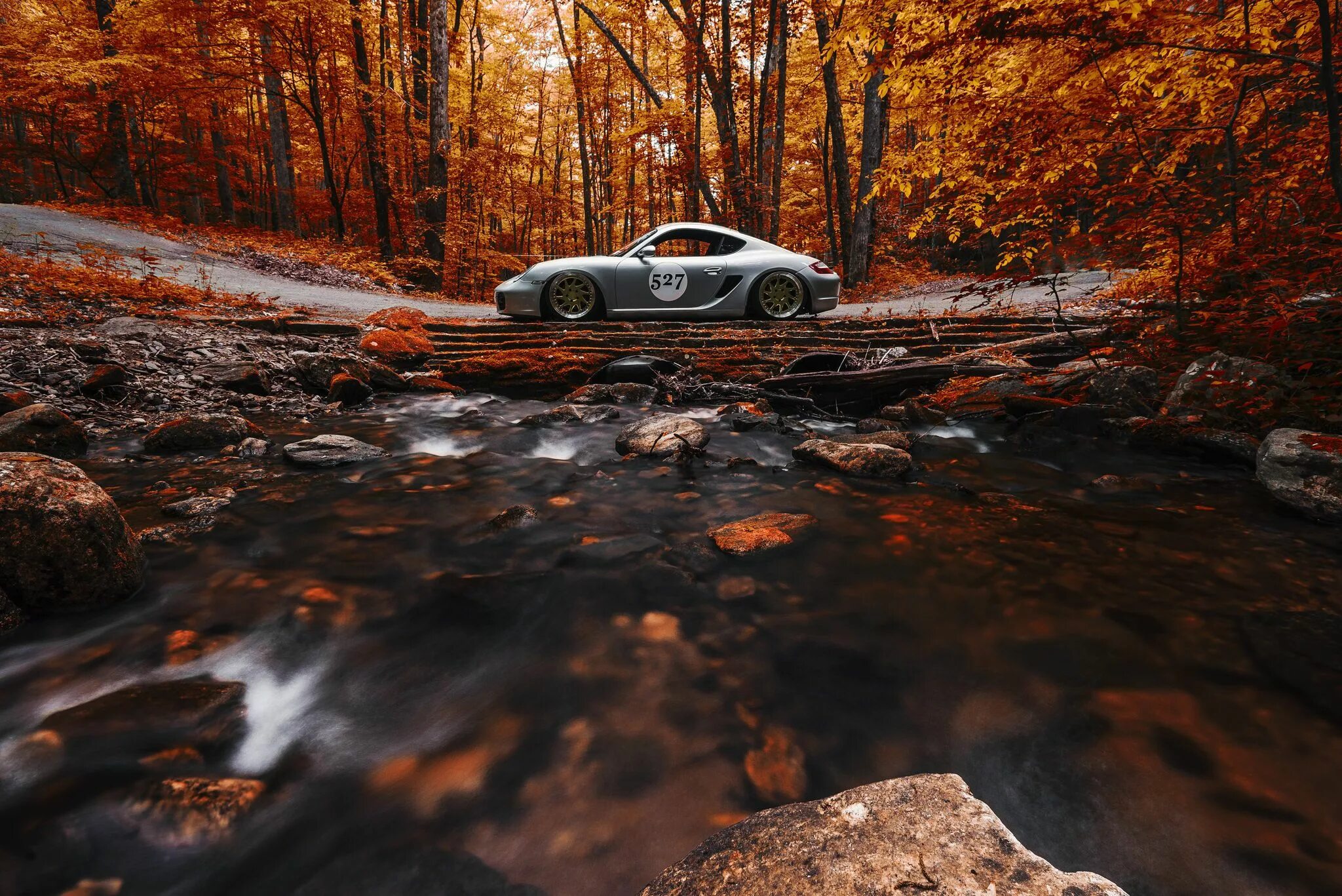 Природа фото авто Living in a Dream World Porsche, Tree desktop wallpaper, New car wallpaper