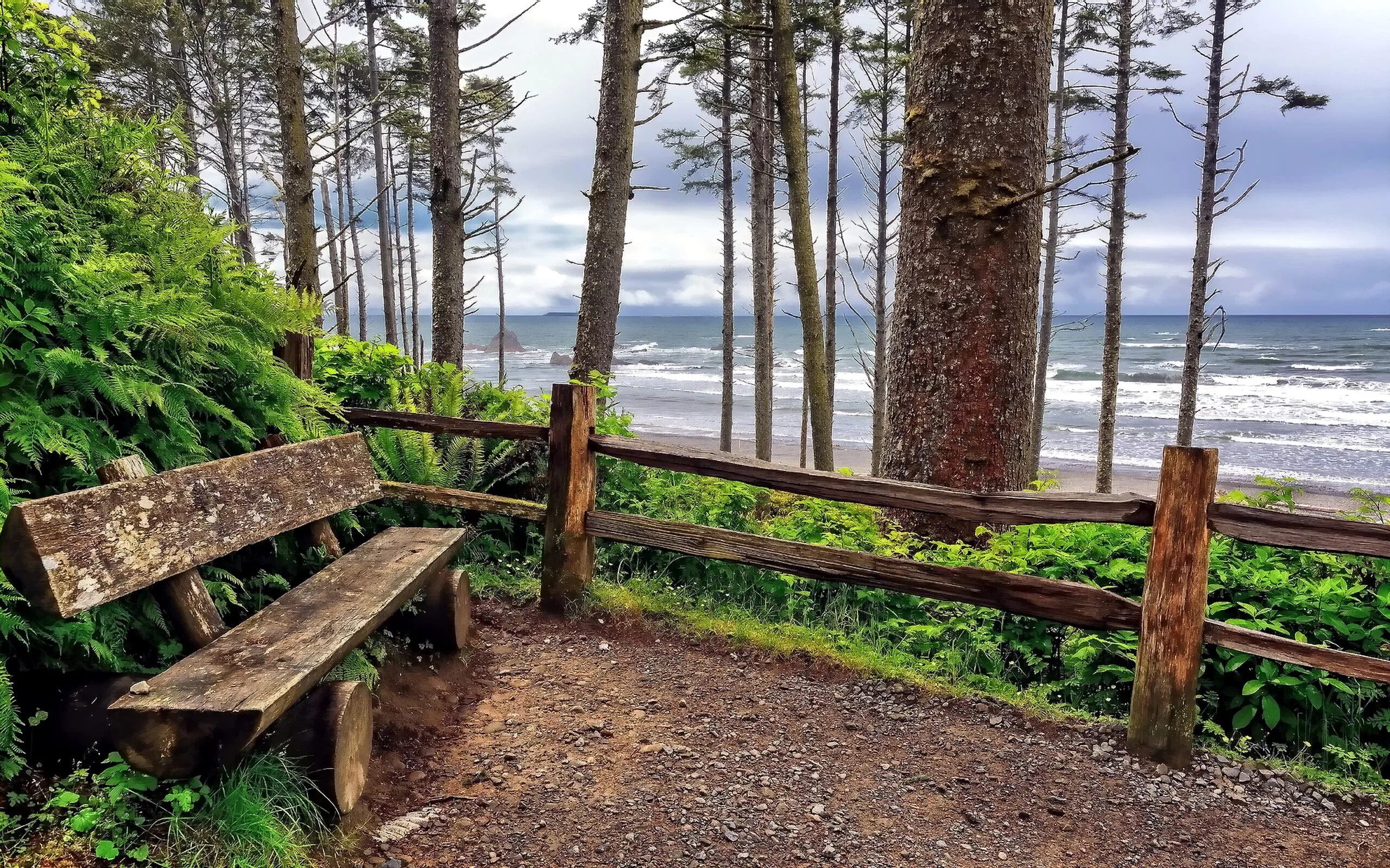 Природа фото берег Ruby Beach (Washington state, USA) Ruby beach washington, Wallpaper wa, Washingt