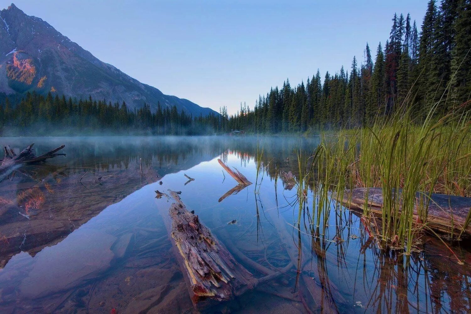 Les Fonds D’écran Arbres Verts et Montagnes Sous Ciel Bleu et Nuages Blancs Pend