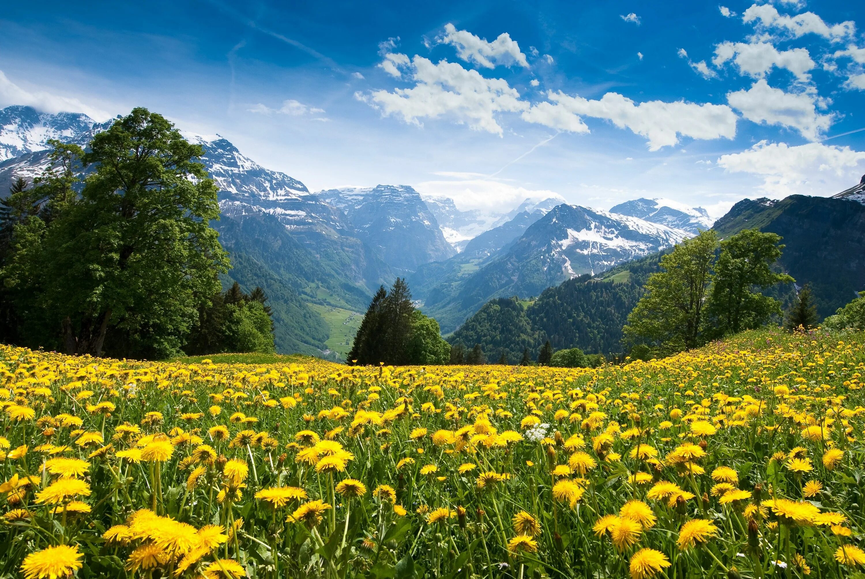 Природа фото делать Switzerland Berglandschaft, Schöne natur, Schöne landschaften