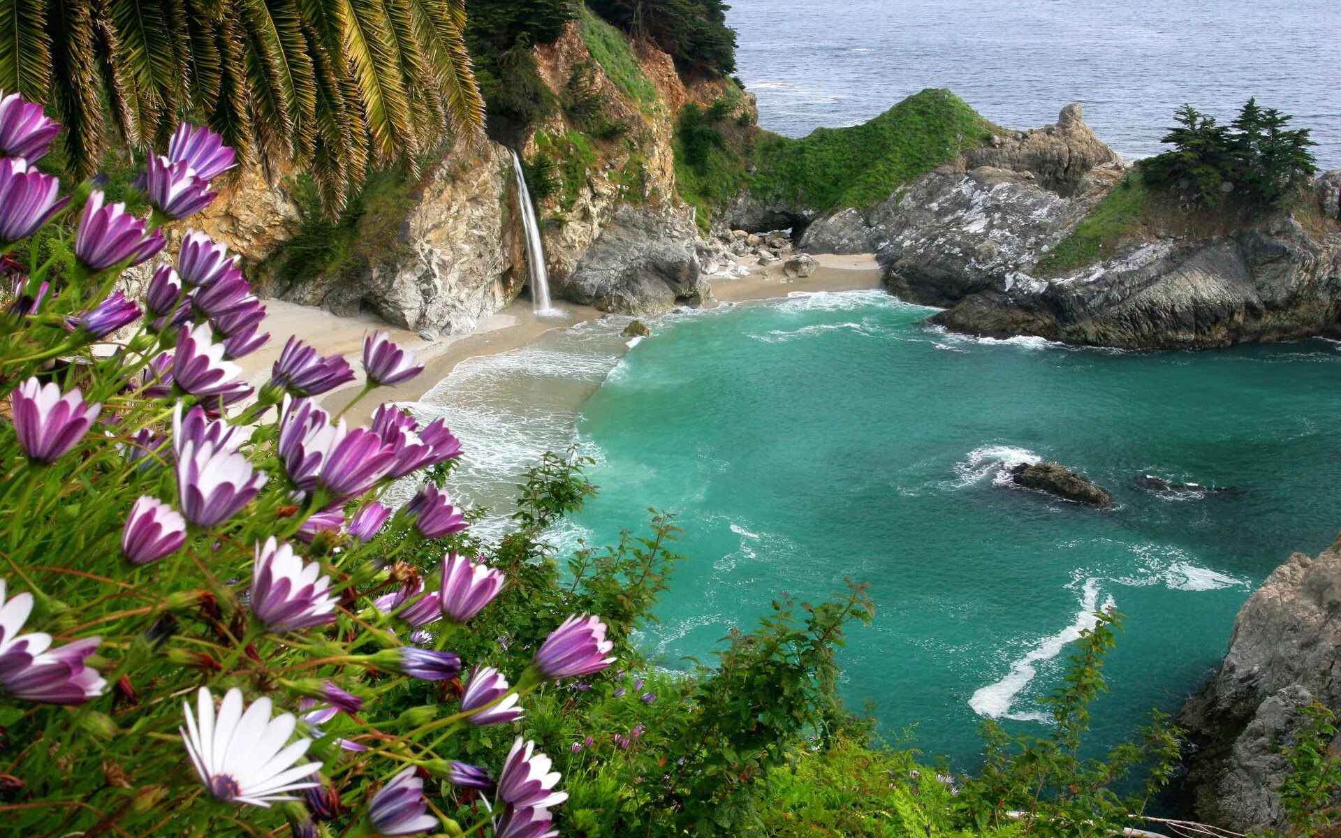 Природа фото красивые на телефон бесплатно Wallpaper : landscape, waterfall, sea, flowers, nature, beach, flower, vegetatio