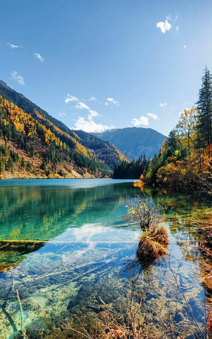 Природа фото на телефон обои вертикальные Lake in autumn #nature Пейзажи, Летний пейзаж, Фотографии озера