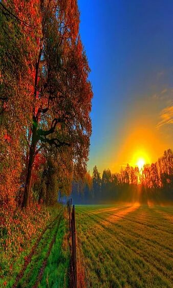 Природа фото на телефон обои вертикальные HD sunset nature autumn look wallpapers Peakpx