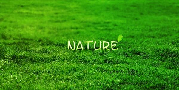 Природа фото надпись Massive Collection of Nature Inspired Typography - Smashing Magazine Nature insp