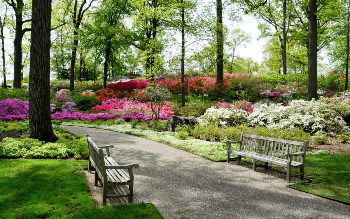 Природа фото парка Central Park in New York: photos, description, interesting places