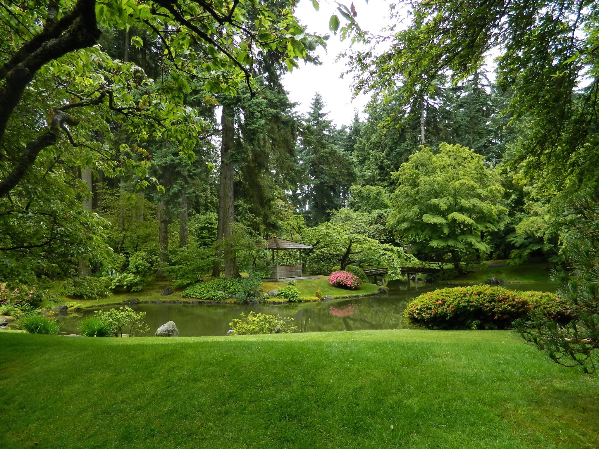 Природа фото парка Download wallpaper greens, grass, trees, pond, garden, Canada, Vancouver, gazebo