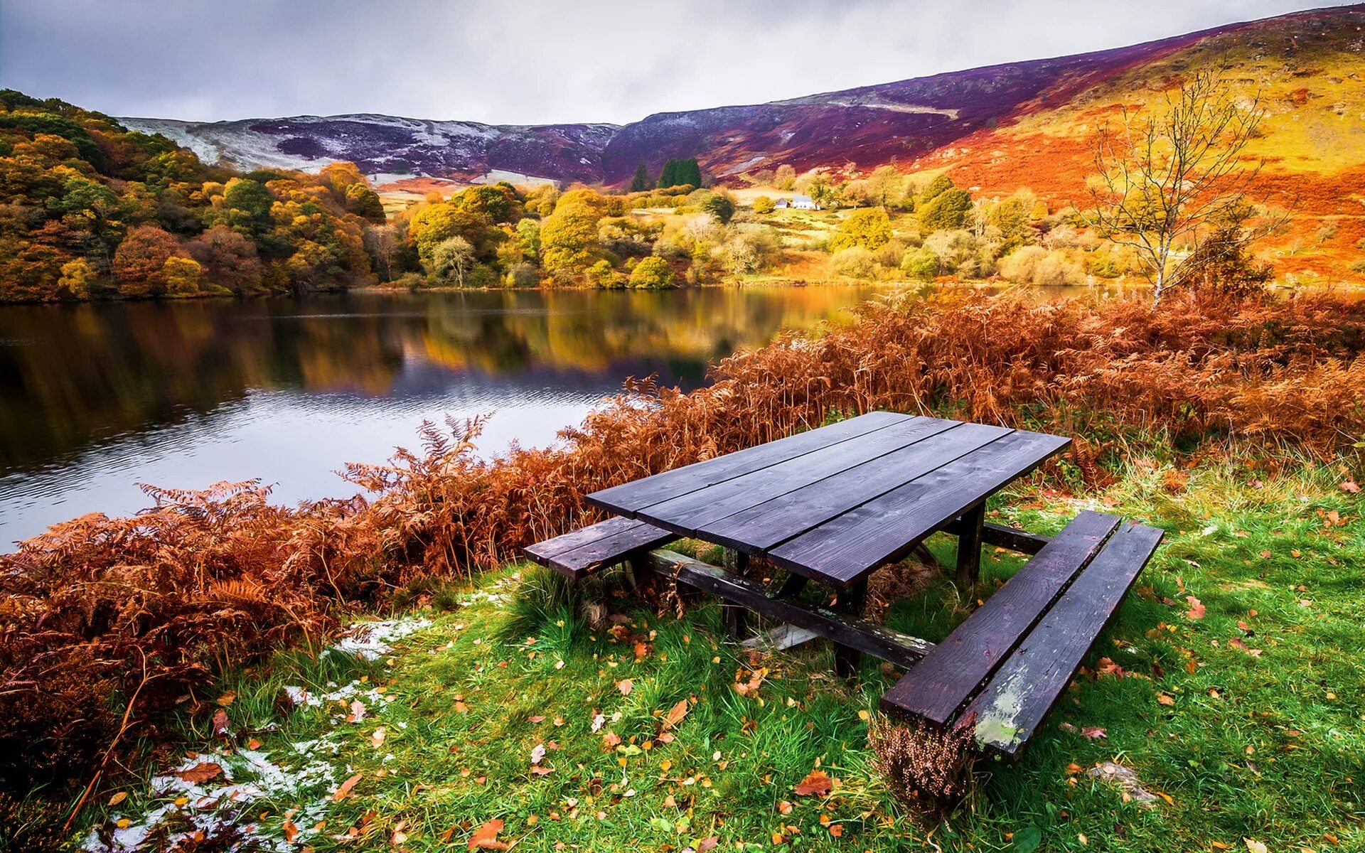 Природа фото писать Wallpaper : landscape, lake, nature, reflection, grass, table, bench, wilderness