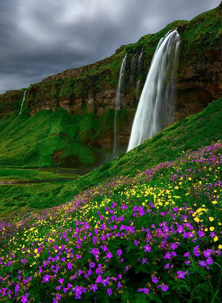 Природа фото самые красивые места Foss and Flowers Beautiful nature, Beautiful landscapes, Scenery