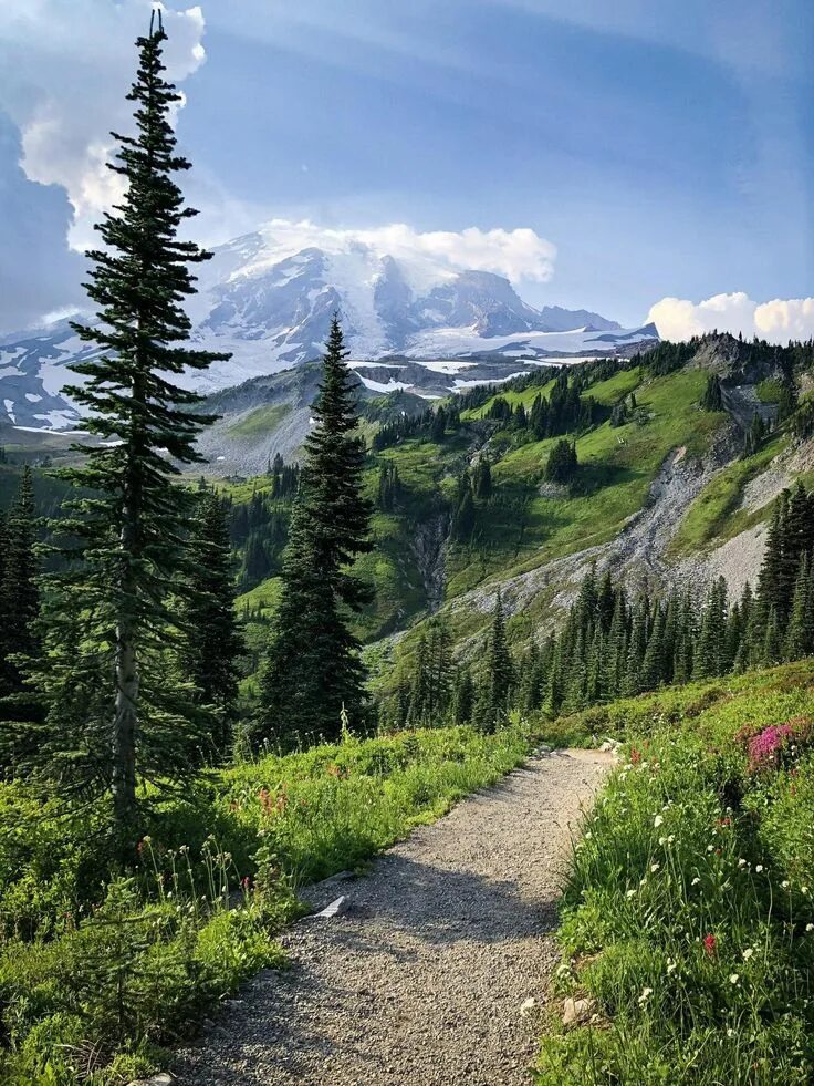 Природа фото смотреть онлайн Mt.Rainier, WA is an alpine eden. (4032x3024) in 2020 Landscape photos, Landscap