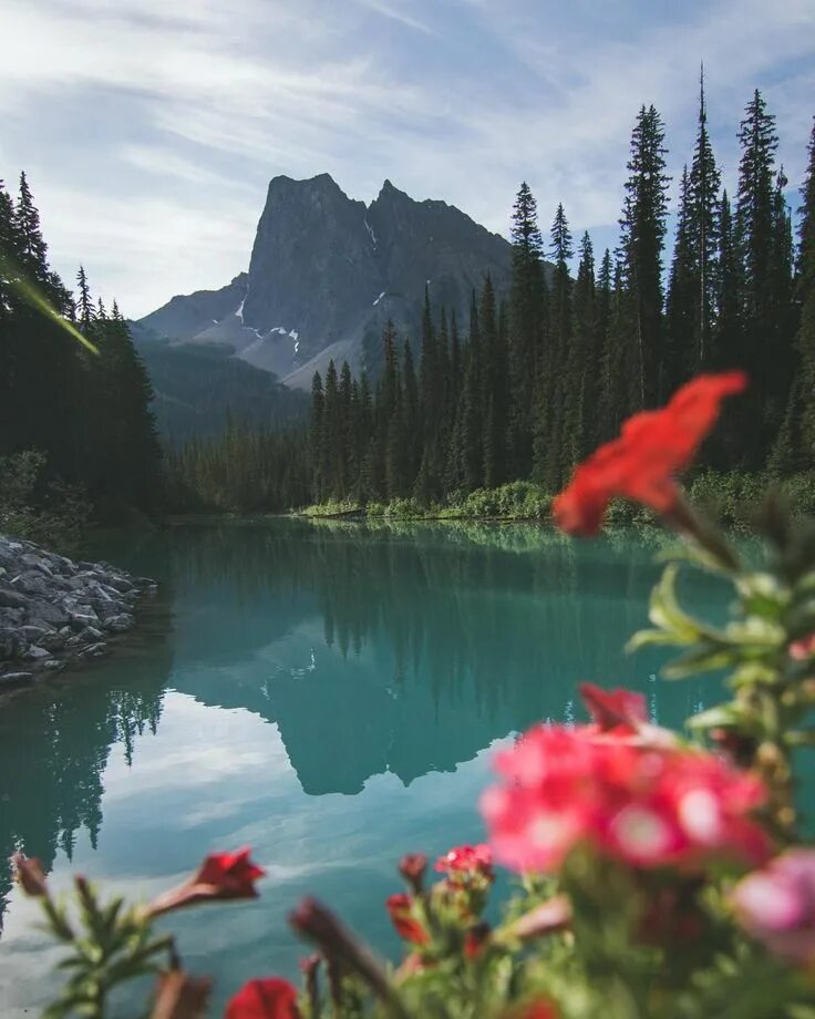 Природа фото в контакте Emerald Lake AB is a GEM. Get it?? OC 3514 4393 - clasualco - #travel #photograp