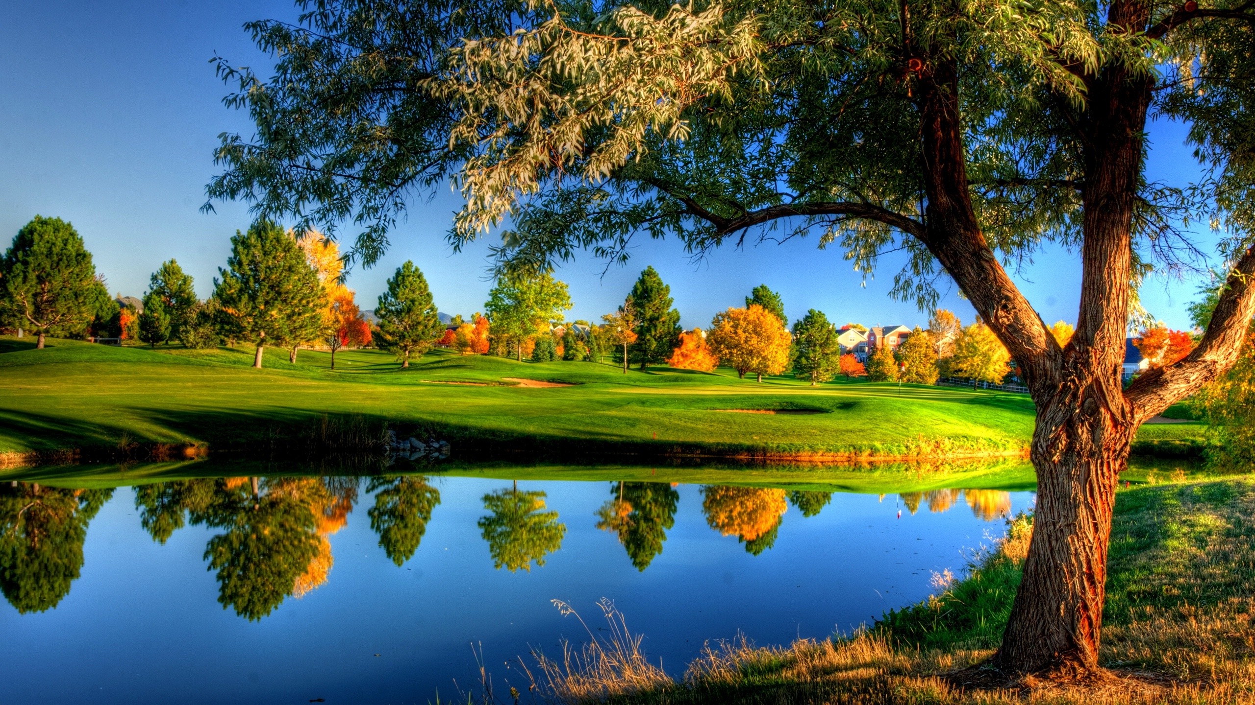 Природа фото вставить Wallpaper : trees, landscape, colorful, fall, water, nature, reflection, grass, 