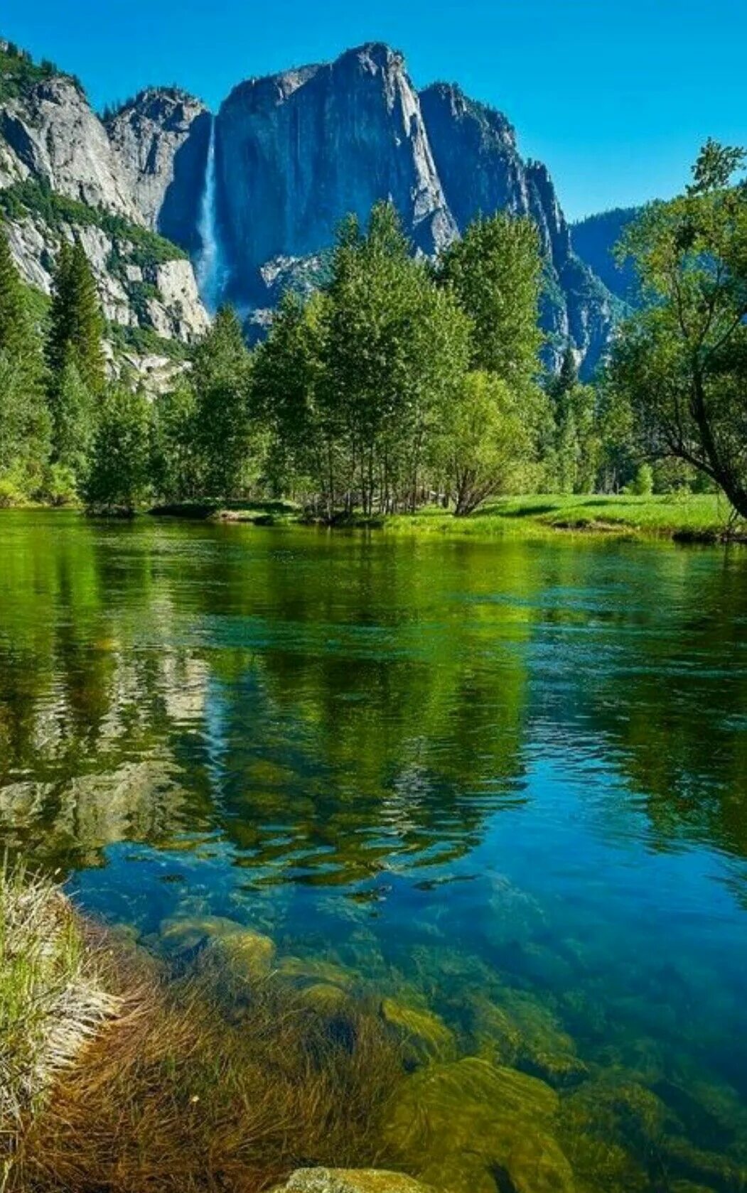 Природа фото высокого качества вертикальные Montana. Montana landscape, Nature water, Natural landmarks