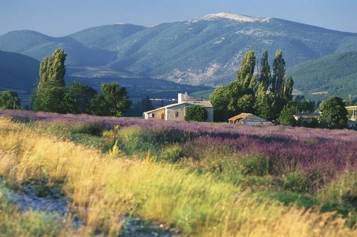 Природа франции фото All the Reasons Provence Is the Most Amazing Part of France France landscape, La