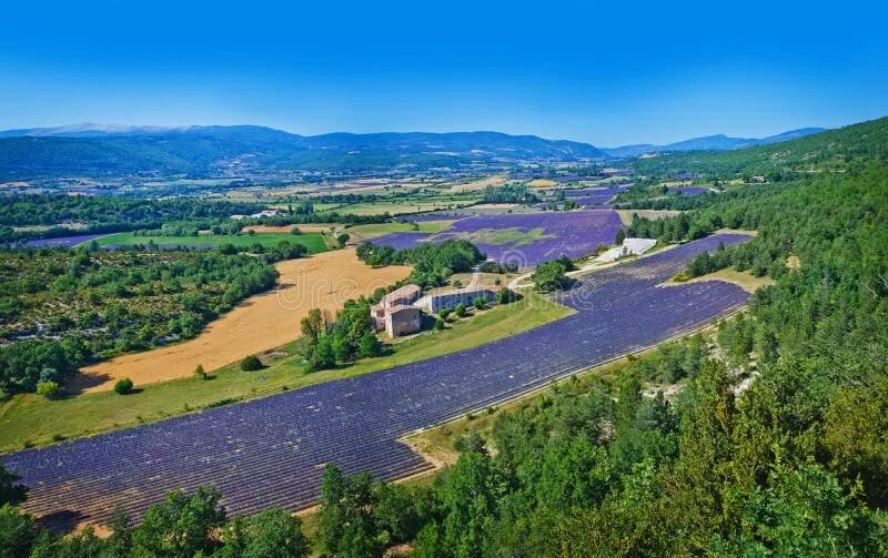 Природа франции фото Tipical Provencal Landscape Stock Image - Image of cropland, landform: 68325403