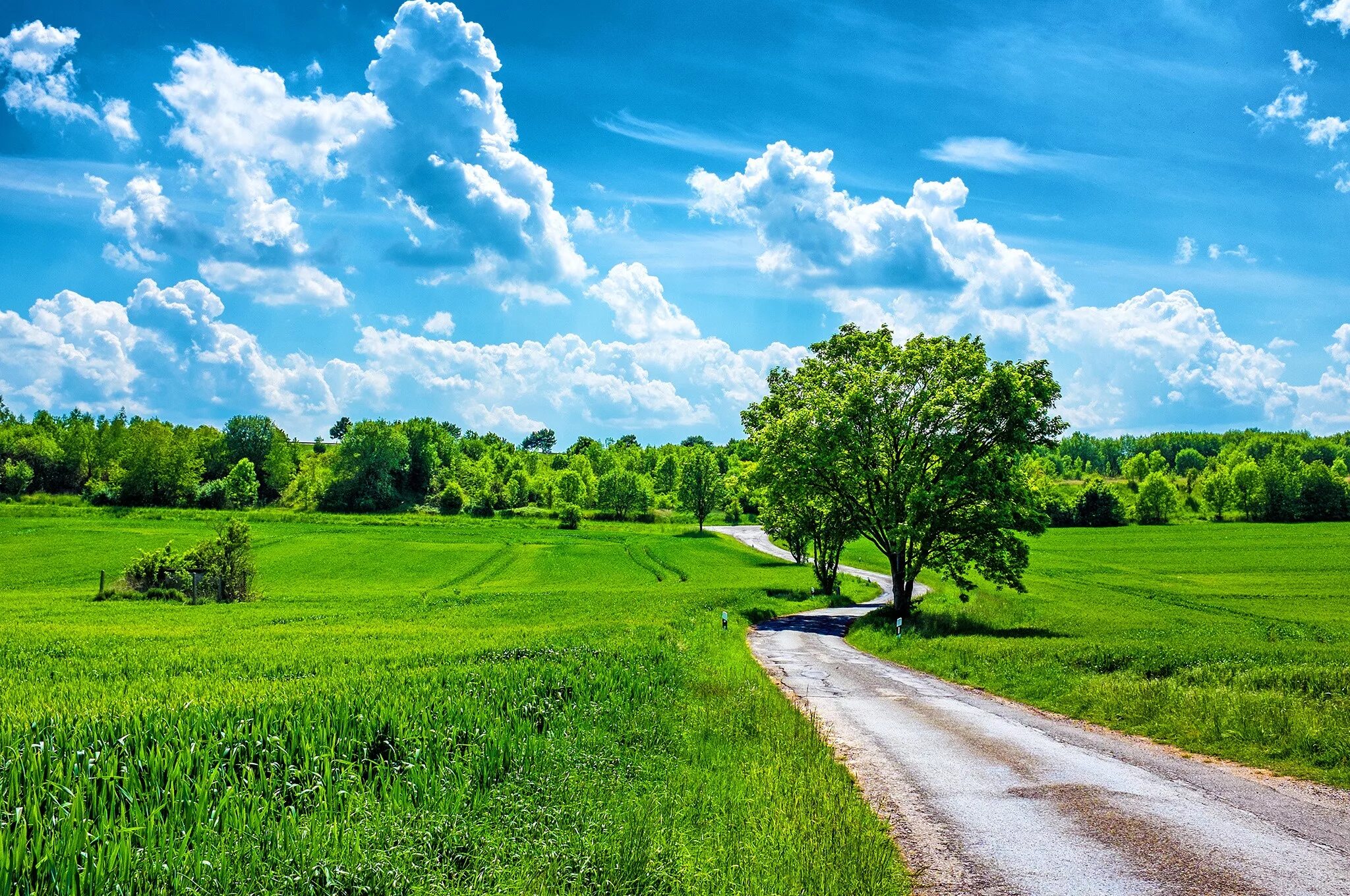 Природа горизонтальное фото Wallpaper : sunlight, trees, landscape, hill, nature, grass, sky, green, horizon